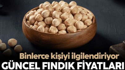 26 Nisan 2023 Çarşamba Fındık fiyatları! Fındık fiyatı ne kadar?