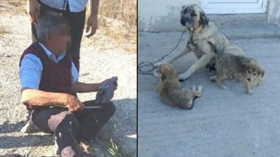 "Köpeğe cinsel saldırı" davasında karar