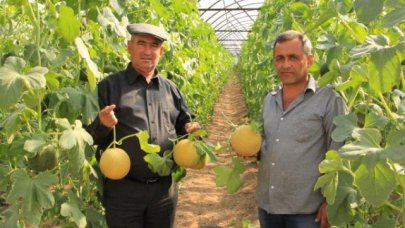 Kumluca'da Kavunda Erken Hasat