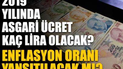 2019 Asgari ücret kaç lira olacak? Enflasyon oranları yansıtılacak mı