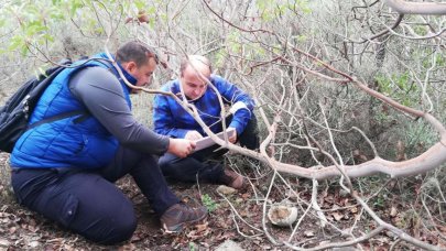 Çanakkale'de yeni şehitlik bulundu