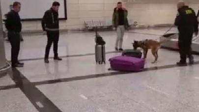 Hollanda'dan gelen yolculara köpekli arama