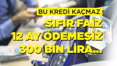 Bu kredi kaçmaz! Sıfır faizli, 12 ay ödemesiz, 300 bin lira