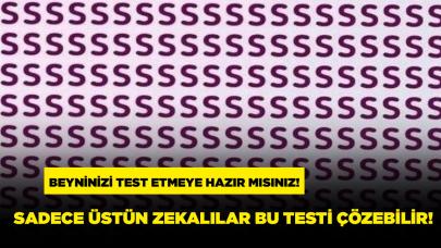 Resimdeki gizli Z harfini 6 saniye içinde görebilenler dahi sayılıyor!