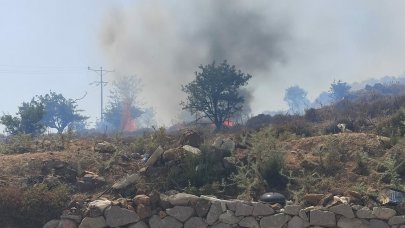 Bodrum'da makilik alanda yangın