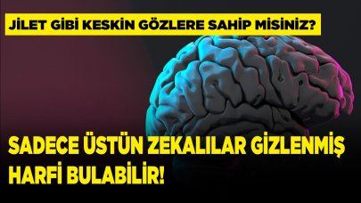 Resimde gizli olan C harfini 3 saniye içinde bulabilir misiniz ?