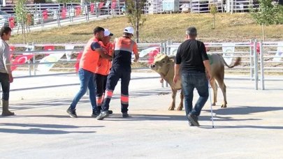 Ankara'da 'kurban yakalama timi' göreve hazır