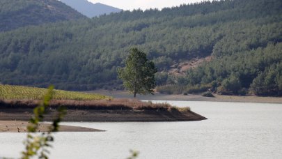 Edirne'de ormanlara giriş yasağı