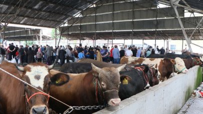 Kurban kesim yerlerinde büyük yoğunluk