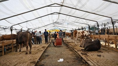 İstanbul'da kurban satış ve kesim noktalarında büyük yoğunluk