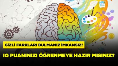 Resimler arasındaki 10 gizli farkı bulabilirsen senden akıllısı yok!