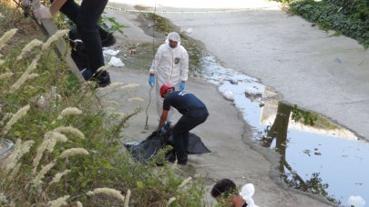 Viyadüğün altında ceset bulundu