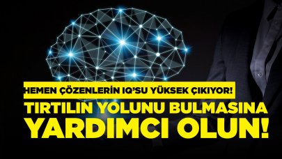 Tırtılın labirentte yolunu 20 saniyede bulmasına yardım edebilir misin?