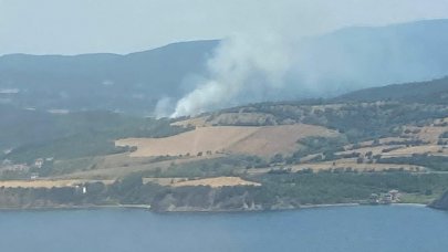 Çanakkale'de orman yangını