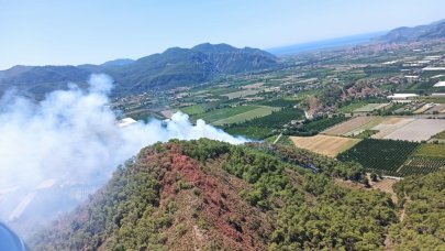 Muğla'da orman yangını