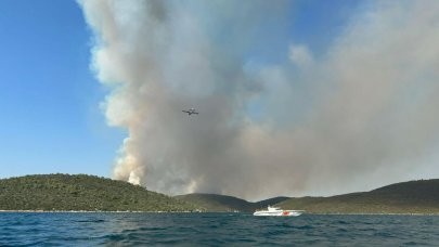 Muğla'daki yangın kontrol altında