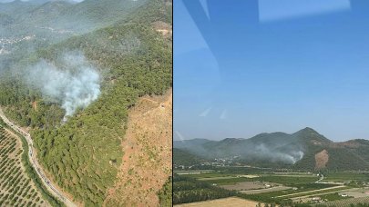 Muğla'da orman yangını