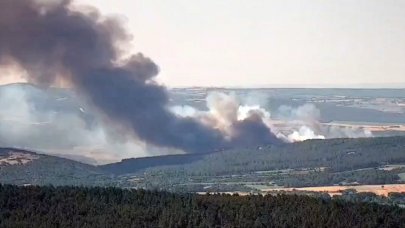 Tekirdağ'da orman yangını