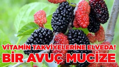 Mucizeleri saymakla bitmiyor! Vitamin takviyelerine elveda! Bir avuç yiyen şifa buluyor…