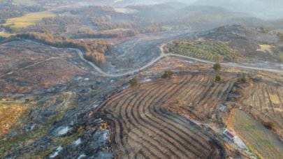 Çanakkale'deki yangın sonrasında yürek yakan görüntüler