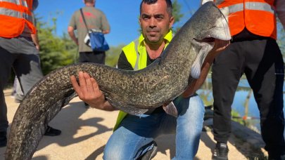 Oltaya takılan 1 metre uzunluğundaki yayın balığını nehre atlayıp böyle çıkardı