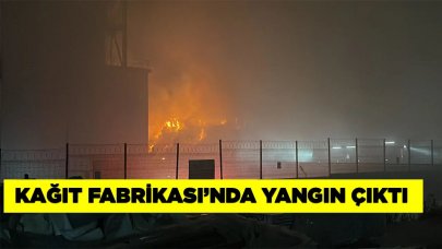 Tekirdağ'da kağıt fabrikasında yangın çıktı