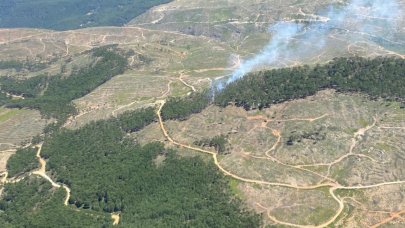 Muğla’da orman yangını: Havadan ve karadan müdahale ediliyor