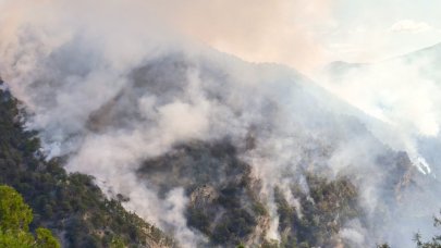 Bolu'daki orman yangını sürüyor