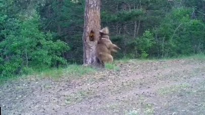 Milli Parklar'ın resmi hesabından paylaşıldı!