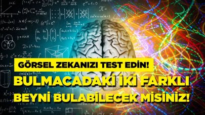 2 farklı beyni fark ettiniz mi? Bu testi çözmek için 10 saniyeniz var!