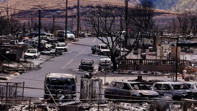 Orman yangınlarında ölü sayısı 111'e ulaştı: Acil Durum Yönetim Kurumu Başkanı istifa etti