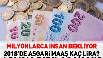 2018 yılında asgari maaş kaç lira olacak