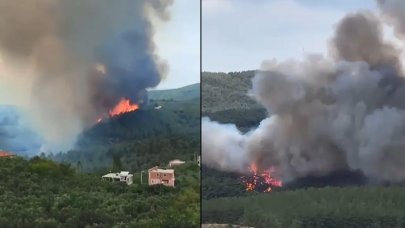 Bursa'da orman yangını