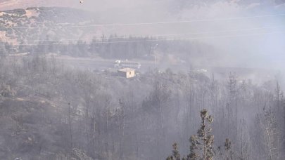 Gaziantep’te orman yangını