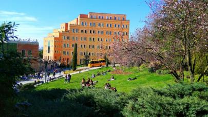 Yeditepe Üniversitesi Öğretim Üyesi alımı yapacak