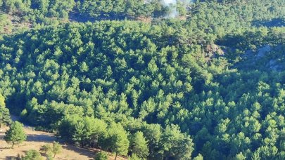 Çanakkale'de orman yangını çıktı