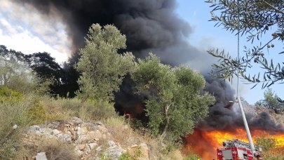 Bungalovda çıkan yangın, ormana da sıçradı: Müdahale ediliyor