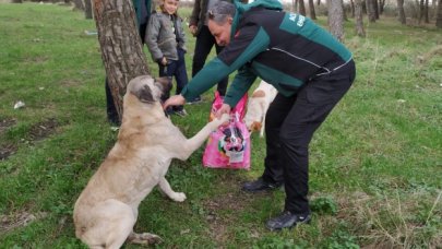 Hayvana zulmün cezası çok ağırdır