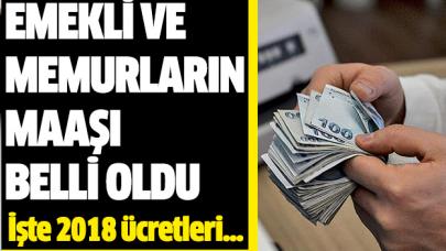 Memur ve emekli maaşları belli oldu! 2018 yılında kaç lira maaş alınacak