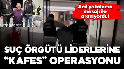 Organize suç örgütü liderine "kafes" operasyonu!