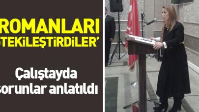 Romanları  ötekileştirdiler