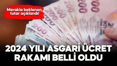 Merakla beklenen 2024 asgari ücret zammı açıklandı! İşte yeni asgari ücret tutarı...