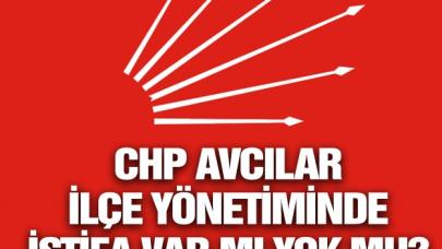 CHP Avcılar İlçe Örgütü'nde istifa bilmecesi! İstifa var mı yok mu?