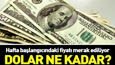 Dolar güne ve haftaya nasıl başlangıç yaptı -  27 Kasım alış ve satış fiyatları