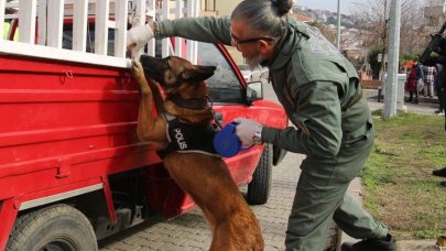 Narkotik köpeği Larissa kanserden öldü