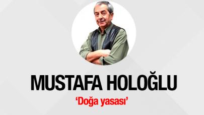 Doğa yasası