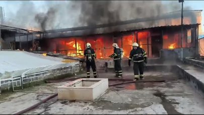 Güvercin otelinde yangın: Yüzlerce kuş telef oldu