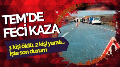 TEM'de kaza: 1 ölü, 2 yaralı