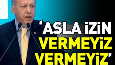 Erdoğan'dan Golan Tepeleri açıklaması: Asla izin vermeiz, vermeyiz