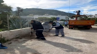 Bodrum'da çok sayıdaki kedi ve köpek öldürüldü